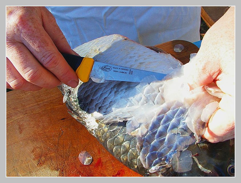 foto 10a.JPG(137 kb)